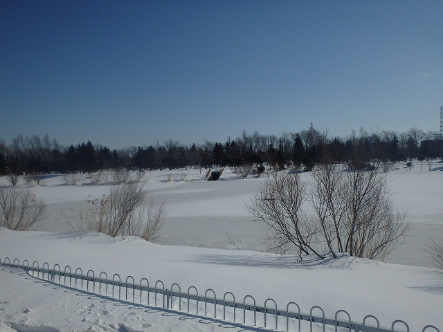 s-P2280632