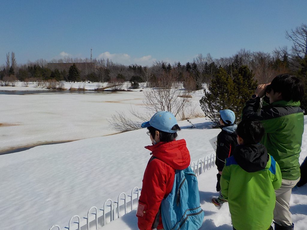 あいの里公園にて自然観察会