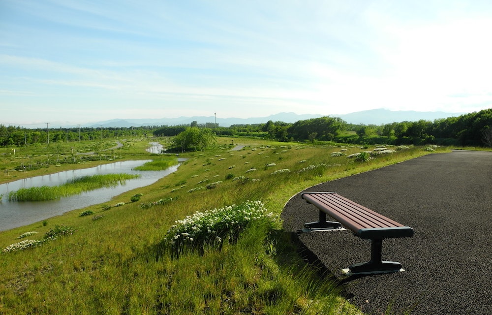 茨戸川緑地の写真