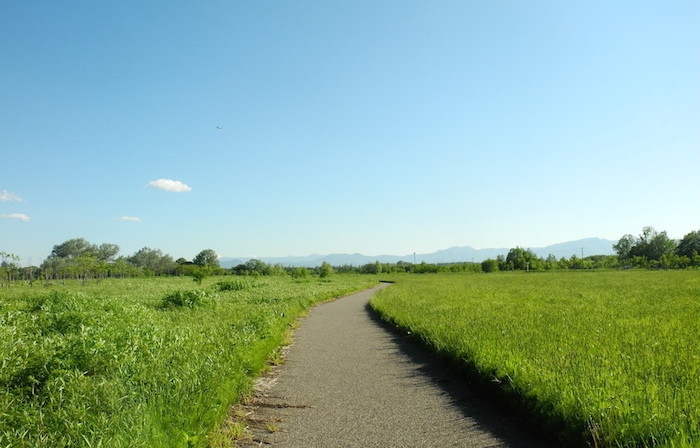 茨戸川緑地の写真