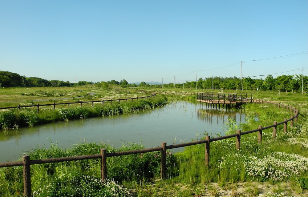 茨戸川緑地の写真