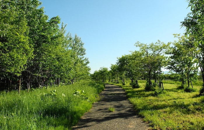 茨戸川緑地の写真